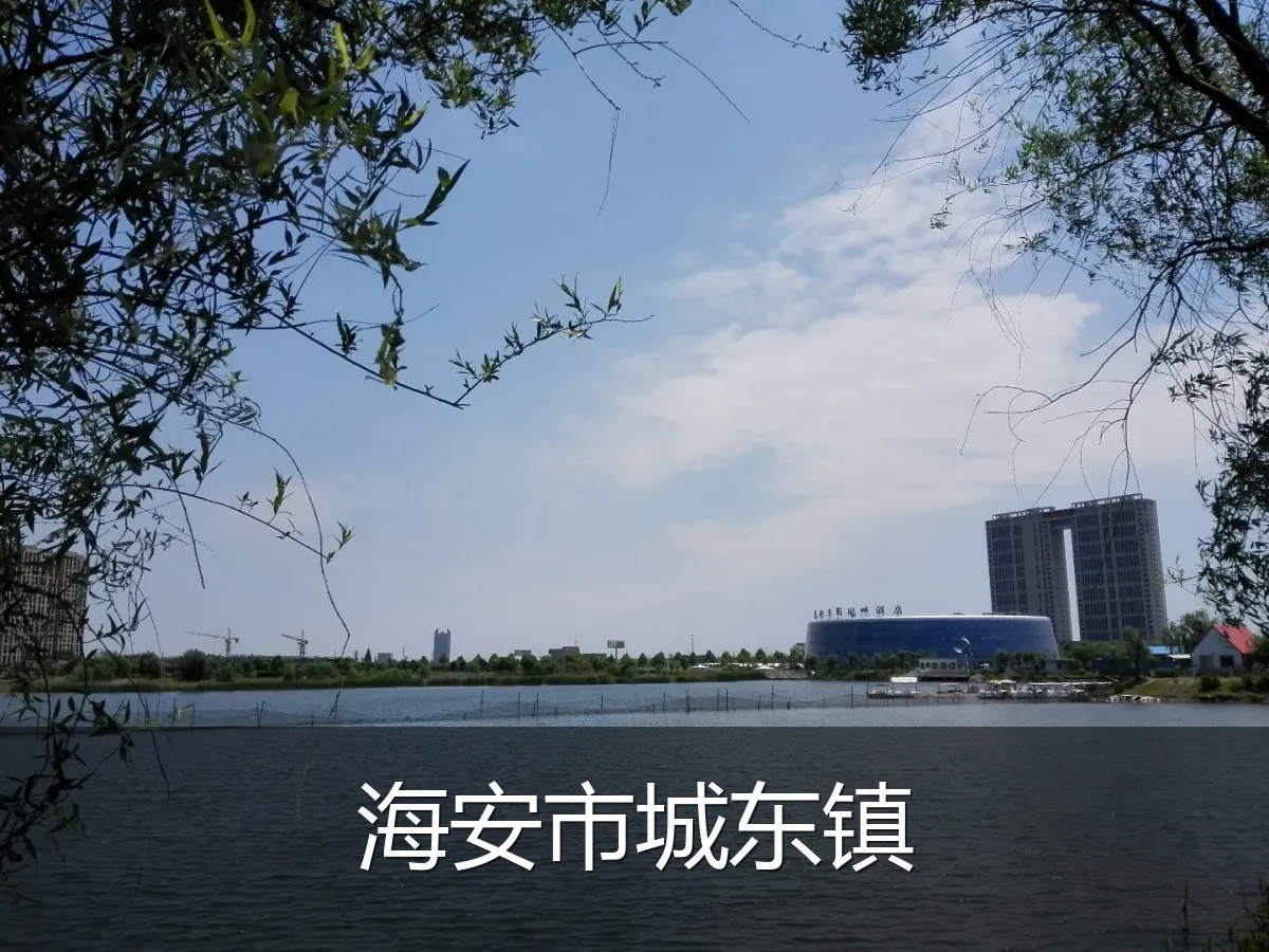 海安市城东镇