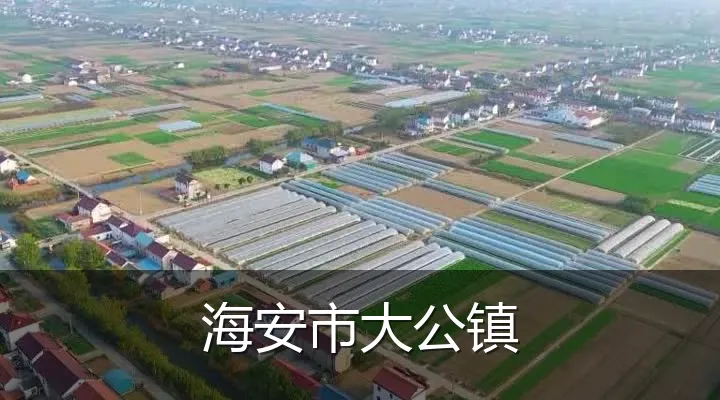 海安市大公镇