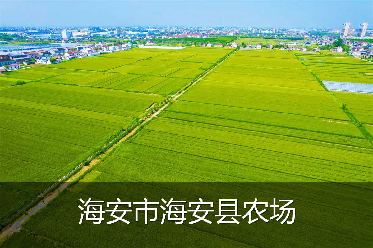 海安市海安县农场